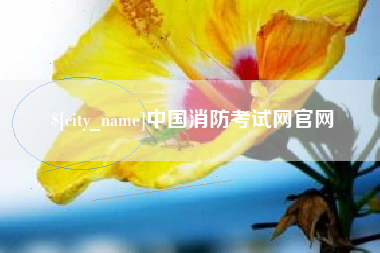图木舒克中国消防考试网官网