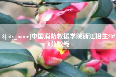 图木舒克中国消防救援学院浙江招生2020分数线
