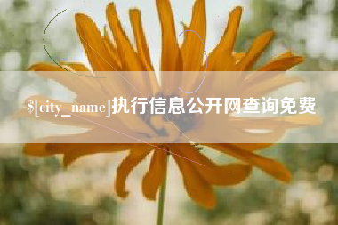 图木舒克执行信息公开网查询免费